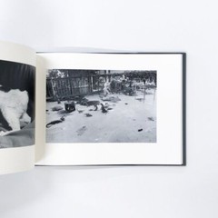 Sentimental Journey Spring Journey Limitd 900 – Nobuyoshi Araki Photo Book