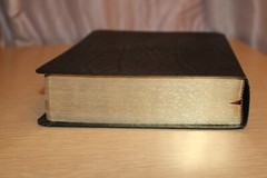 MacArthur Study Bible by John MacArthur (2006, Bonded Leather, Revised edition)
