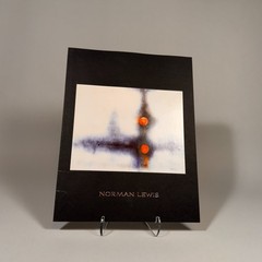 Norman Lewis: Abstract Expressionist Drawings, 1945-1978. Michael Rosenfeld 2009
