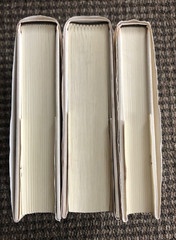 LOT of “Feasting on the Word Year C,” volumes 1, 2, 3: HC, 2009 edition