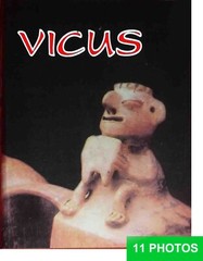 Vicus Pre-Columbian Art & Treasures in Peru 480 pictures Arte Y Tesoros 1994
