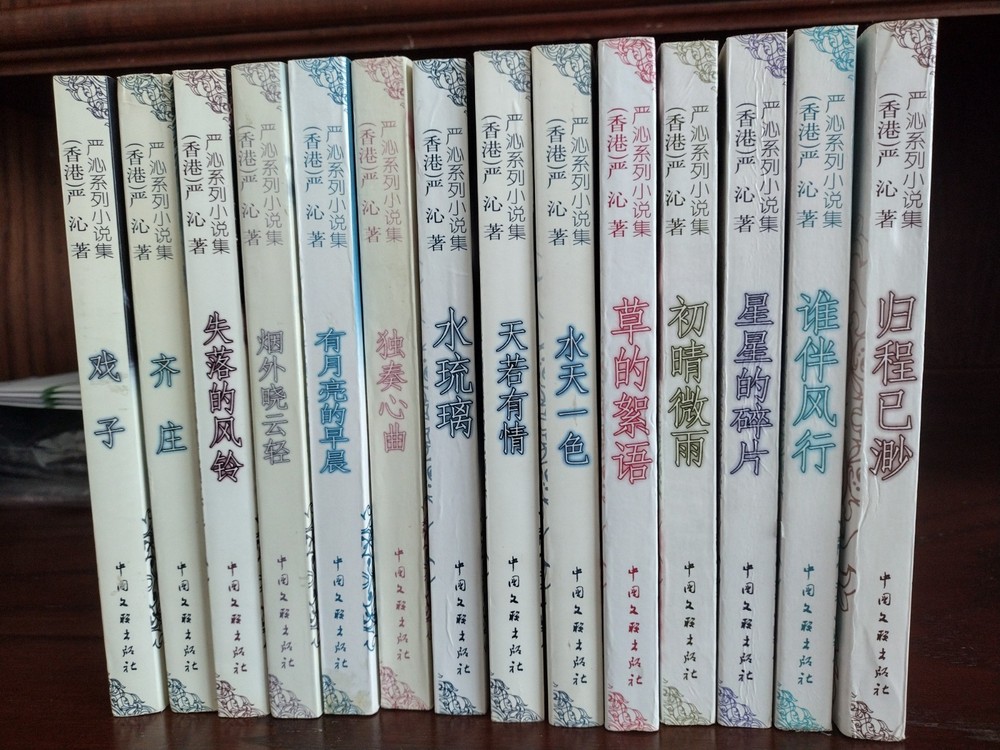 严沁系列小说集(14本， 中文简体)
