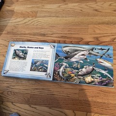 Ocean Creatures Jigsaw Book – Hardcover By Krutop, Lee – VERY GOOD