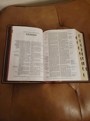 Nkjv, Thompson Chain-Reference Bible, Genuine Leather, Calfskin, Burgundy, …