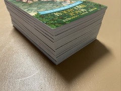 Magic Tree House Collection Book Set 1-15 by Mary Pope Osborne