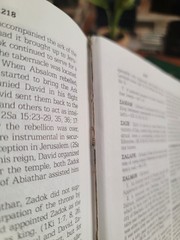 Kingdom Interlinear, Insight on the Scriptures, New World Translation Ref. Ed.