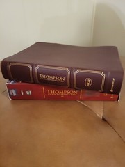 Nkjv, Thompson Chain-Reference Bible, Genuine Leather, Calfskin, Burgundy, …