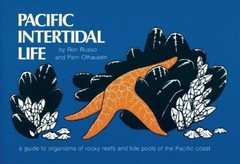 Pacific Intertidal Life: A Guide to Organisms of Rocky Reefs and Tide Poo – GOOD