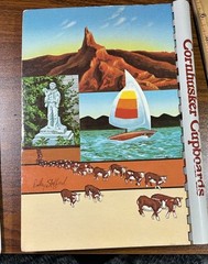 Cornhusker Cupboards – 1982 – Vintage Cookbook Nebraska 188 pages