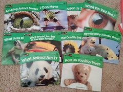 Newmark Learning Phonics Grade K-1 Readers