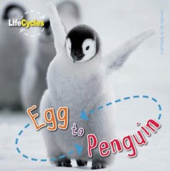 Egg to Penguin Library Binding Camilla de la Bedoyere