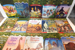 Magic Tree House book collection (kid’s paperback book series)