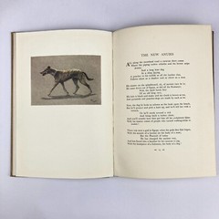 A Dozen Dogs or So Patrick Chalmers & Cecil Aldin 1st Edition HC 1928