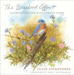The Bluebird Effect: Uncommon Bonds with Common Birds