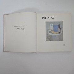 Picasso: Biographical & Critical Studies: Raynal – Great Tipped In Color Plates