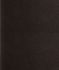 ESV Journaling Bible [Buffalo Leather over Board, Deep Brown]