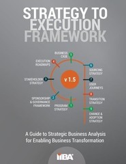 Strategy to Execution Framework version 1.5 by Iiba: New