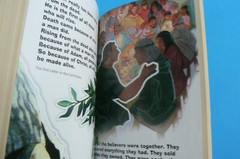 HOLY BIBLE New International Reader’s Version, NIrV Children’s Bible, All Clean!