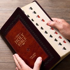 KJV Study Bible Large Print Thumb Indexed 2 Ribbons BRAND NEW in Shrink Wrap!!!