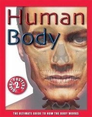 Human Body: The Ultimate Guide to How the Body Works by John Farndon