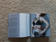 Lingerie A Modern Guide NEW Hard-covered Book With Dust Jacket