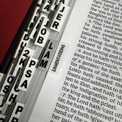 Nelson KJV Study Bible Black Leather Bound Giant Print Red Letter Tabbed Indexed