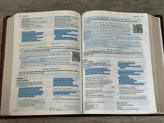 ✝️ Holman HCSB Life Essentials Study Bible Brown Two Tone LeatherTouch