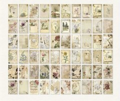 Tiny Book Filled W/ Pull Out Pictures Botany Plants Flowers 60 Pages Note Paper
