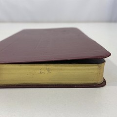 Book of Common Worship Daily Prayer 1993 Leather Westminster John Knox Press