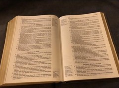 lsb inside column reference Legacy Standard Bible Leather Brown