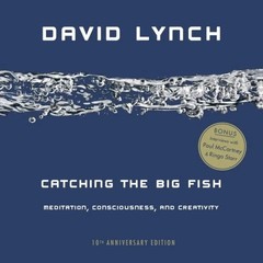 Catching the Big Fish: Meditation, Consciousness, and Creativity (0143130145)