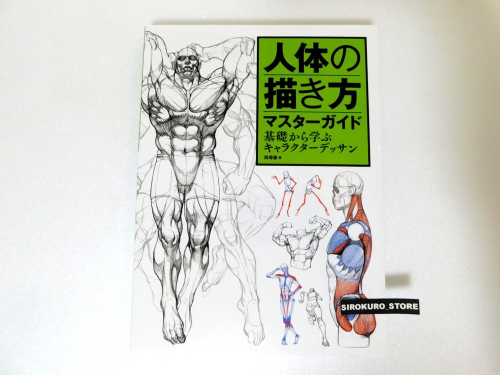 Master Guide to Drawing the Human Body Character Drawing From The Basics Book