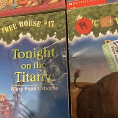 Magic Tree House + Merlin Missions + Research Guide Lot Of 51 PBs Acc-VG Cond