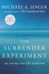 The Surrender Experiment: My Journey into Life’s Perfection – VERY GOOD