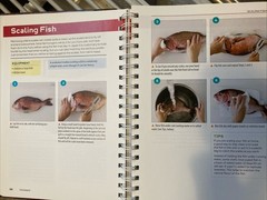 Complete Guide to Sushi & Sashimi Includes 625 step-by-step photographs Elliott