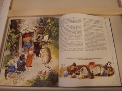The Woodland Folk Meet The Gnomes By Tony Wolf Rand McNally, 1983 HC Illustra.