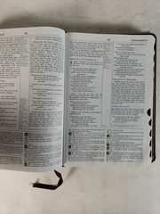 NIV Study Bible by Donald Burdick (1995, Leather, Burgundy) Red Letter, Indexed