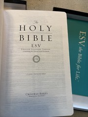 ESV Thinline Bible Truetone Skyblue Ivy Design Like New in Original Box