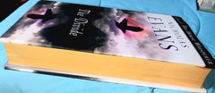 Divide by Nicholas Evans 1ST Edition, 2011 Hard Cover W/Dust Jacket