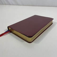 Book of Common Worship Daily Prayer 1993 Leather Westminster John Knox Press