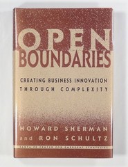 1998 OPEN BOUNDARIES complexity BUSINESS innovation emergence co-evolution FIRST