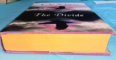 Divide by Nicholas Evans 1ST Edition, 2011 Hard Cover W/Dust Jacket