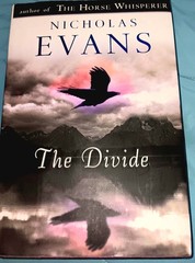 Divide by Nicholas Evans 1ST Edition, 2011 Hard Cover W/Dust Jacket