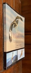 Hawks from Every Angle : How to Identify Raptors in Flight by Jerry Liguori
