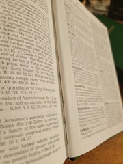 Kingdom Interlinear, Insight on the Scriptures, New World Translation Ref. Ed.