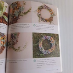 Succulents Care Guide Propagation Selection Pairing Crafts Terrarium Bouquet