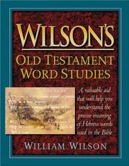 Wilsons Old Testament Word Studies – Hardcover By Wilson, William – GOOD