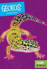 Geckos Library Binding Imogen Kingsley