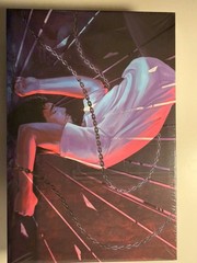 Signed Mystic Box Irreversible By Jennifer Hartmann & Chelley St. Clair
