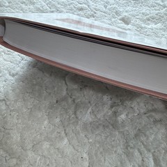 ESV Large Print Value Thinline Bible: Holy Bible, English Standard Version